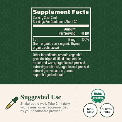 Global Healing Center Iron Supplement for Women and Men - Blood Builder Liquid Iron Vitamin with Curry Plant Extract - Natural Energy to Combat Fatigue, Brain Health & Oxygen Level Support (2 Oz)