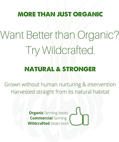 Kidney Cleanse Supplement SpeedyVite® (2 fl oz) Drops