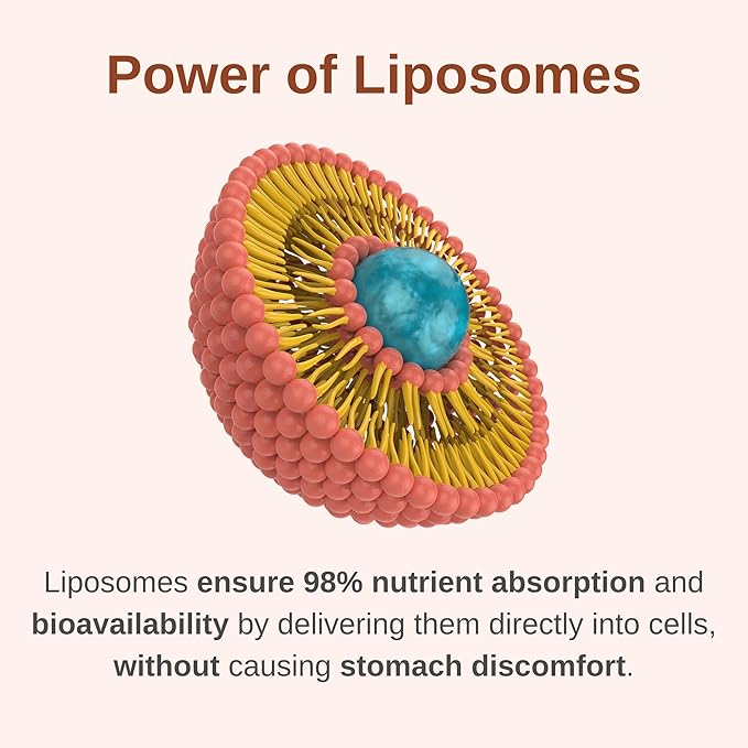 Liposomal Men's 50+ Liquid Multivitamin Drops | Non-GMO | Sugar Free | Gluten Free | 30 Day Supply | 3 FL Oz | Supports Brain Health, Immunity and Energy Production