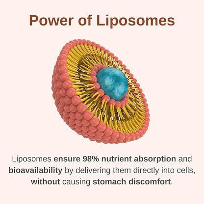 Liposomal Men's 50+ Liquid Multivitamin Drops | Non-GMO | Sugar Free | Gluten Free | 30 Day Supply | 3 FL Oz | Supports Brain Health, Immunity and Energy Production