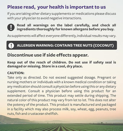 Elderberry Gummies for Kids with Vitamin C & Zinc (3 Months Supply) 90 Delicious Raspberry Flavor Gummy - Immune Support Supplement for Children - Vegetarian Sambucus Elderberry Gummies (No Pills)