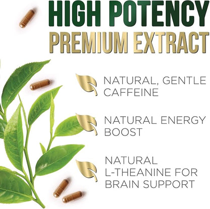 Green Tea Extract Capsules 1000mg 98% Standardized EGCG - 3X Strength for Natural Energy - Heart Support with Polyphenols - Gentle Caffeine - 60 Capsules