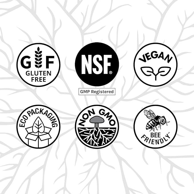 Host Defense MycoBotanicals Brain* Capsules - Brain Support Supplement with Lion's Mane, Reishi & Cordyceps Mushroom - Herbal Supplement for Memory & Focus Support - 60 Capsules (30 Servings)*