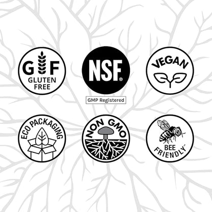 Host Defense MycoBotanicals Brain* Capsules - Brain Support Supplement with Lion's Mane, Reishi & Cordyceps Mushroom - Herbal Supplement for Memory & Focus Support - 60 Capsules (30 Servings)*