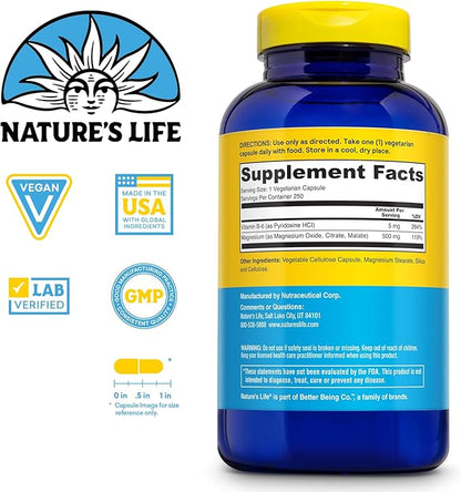 Nature’s Life Renewing Magnesium 500 mg - Magnesium Citrate, Magnesium Malate, Magnesium Oxide Plus Vitamin B-6 - Muscles and Nerves Support - Lab Verified (250 Servings, 250 VegCaps)