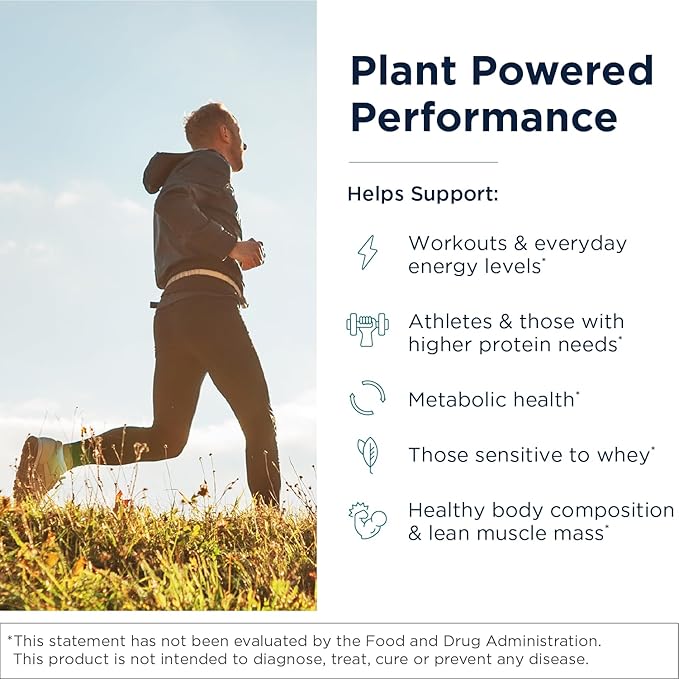 Designs for Health Phytotein Vegan Protein Powder - 20g Organic Rice, Sacha Inchi, Pumpkin Seed, Sunflower Seed & Pea Protein Powder Blend - Creamy Texture, Vanilla Plant Protein (465g)