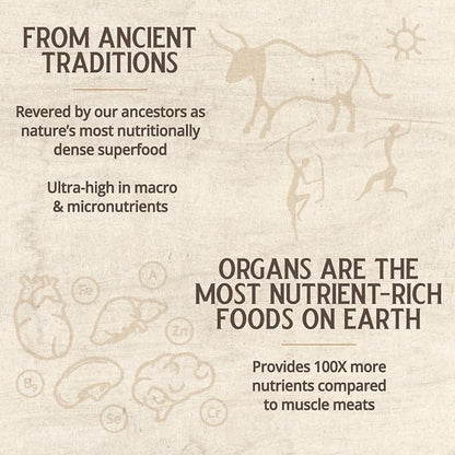 Beef Brain: 1500 Mg Brain/ 1500 Mg (30 Servings)