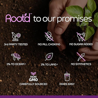 Root'd Prenatal Multivitamin Powder - 25 Vitamins & Minerals with 3x Electrolytes, Folate, Iron, D3 for Mom & Baby, 7 Superfood & Probiotics, Sugar-Free Vitamins & Hydration | 30 Vitamin Drink Packets