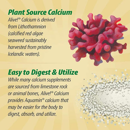 Nature's Way Alive! Calcium Max Absorption, Bone Support*, Plant Source Calcium, Vitamin D3 & K2, Magnesium, 60 Tablets (Packaging May Vary)