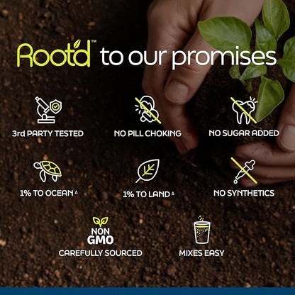 Root'd Multivitamin Powder with 3X Electrolytes for Men - 24 Vitamins & Minerals, 3X Electrolytes, 9 Organic Superfoods, Probiotics & Enzymes, Sugar-Free Multivitamin & Hydration | 24 Packets