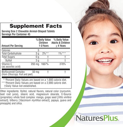 NaturesPlus Animal Parade Sugar-Free Children's Vitamin C, Natural Orange Juice Flavor - 90 Chewable Animal Shaped Tablets, Pack of 2 - Immune Support - Gluten Free - 90 Servings