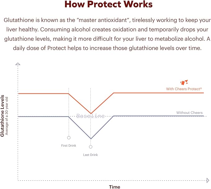 Cheers Daily Combo | Protect + Multi | Daily Supplements for Drinkers to Support Liver Health & Replenish Lost Vitamins | 60 Doses Each | Choline, Betaine, Niacin, B-Vitamins, L-Cysteine, DHM
