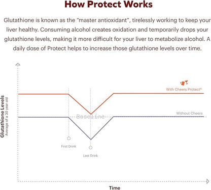 Cheers Daily Combo | Protect + Multi | Daily Supplements for Drinkers to Support Liver Health & Replenish Lost Vitamins | 30 Doses Each | Choline, Betaine, Niacin, B-Vitamins, L-Cysteine, DHM