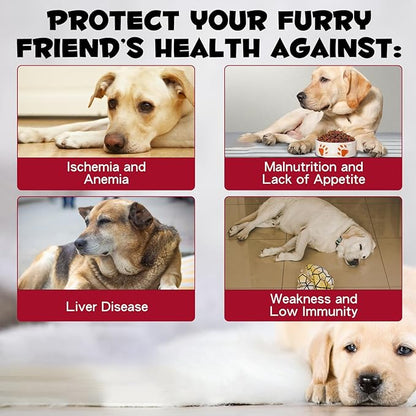 Liquid Iron Drops for Dogs, Liquid Iron Supplements for Dogs Supports Anemia, Promotes Blood Health, Improve Low Enery Levels and Lethargy - Pet Supplies Dog Vitamins - 60 ml/Caramel Flavor