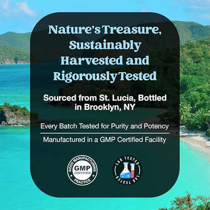 Organic Sea Moss Drops - Irish Sea Moss - 4X Stronger than Sea Moss Gel, Capsules and Gummies - Superfood Seamoss - Joint Support Supplement - Immune Support Supplement (Strawberry Lime, 60mL)