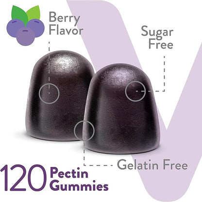 Sambucus Elderberry Gummies for Adults & Teens + Zinc & Vitamin C - Sugar Free - Immune Support & Booster Herbal Supplement - Vegan, Gluten Free, Gelatin Free, GMO Free, Chewable Berry Flavored Gummy
