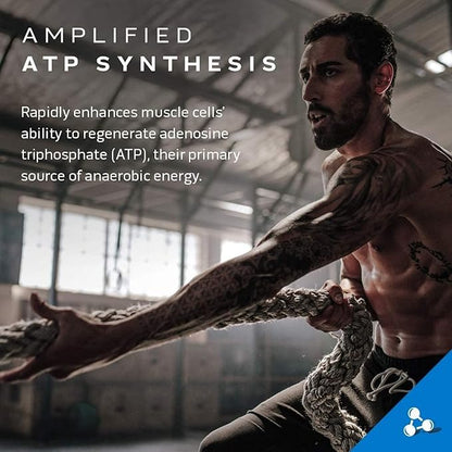 MuscleTech Cell-Tech Creactor Creatine HCl Powder,Post Workout Muscle Builder for Men & Women ,Creatine Hydrochloride + Free-Acid,Unflavored (120 Servings),8.47 oz