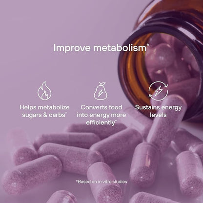 Pendulum Metabolic Daily - Multi-Strain Probiotic with Akkermansia Muciniphila to Support Metabolism and Sustain Energy Levels - for Women and Men - 90 Capsules (1 Pack)