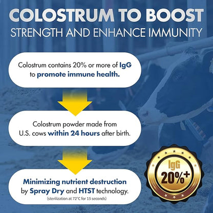 3 Pack Bundle Colostrum Protein Powder, Fortifying Muscle with WPC, WPI, ISP, Collagen, Amino Acids, BCAAs, Vitamins Minerals Lactobacillus, Rich Milk Flavor, 47.61oz