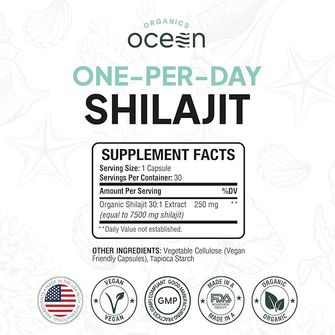 One-Per-Day Shilajit for Men and Women - Natural and Potent Shilajit Supplement for Age-Defying, Bone Strength, Hormone Support and More - 3 Bottles Shilajit Capsules