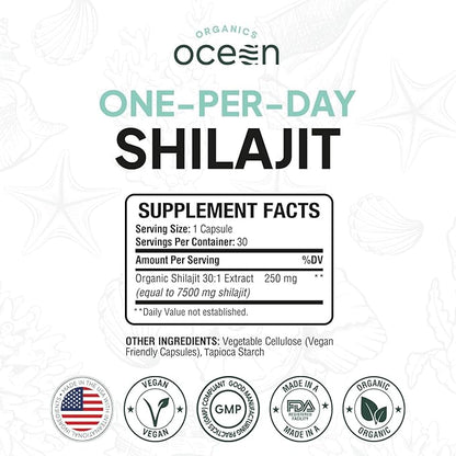 One-Per-Day Shilajit for Men and Women - Natural and Potent Shilajit Supplement for Age-Defying, Bone Strength, Hormone Support and More - 3 Bottles Shilajit Capsules