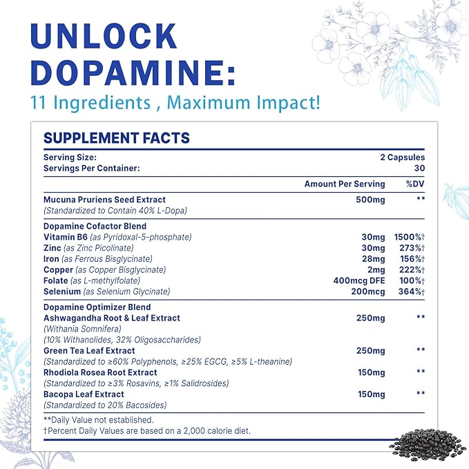 Dopamine Supplements for Men and Women - Contains 500mg Mucuna Pruriens Extract (40% L-DOPA) - 60 Capsules (1 Pack)