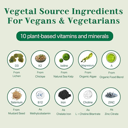 Multivitamin for Vegans & Vegetarians w/ Vitamin D3 K2, Methyl B12, Iron, Zinc, Choline, Algae Omega 3 from Sustainable Source, Women Men Daily Vitamins Gummies for Overall Wellness, No Sugar, 60 Cts