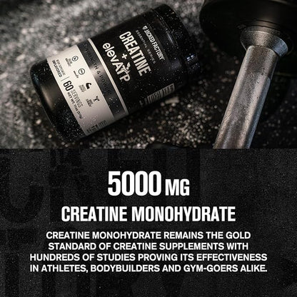 Creatine + ElevATP - Creatine Monohydrate Powder for Muscle Growth, Increased Strength, Enhanced Energy Output, with ElevATP for Sustained Energy & Endurance - 60 Servings, Unflavoured