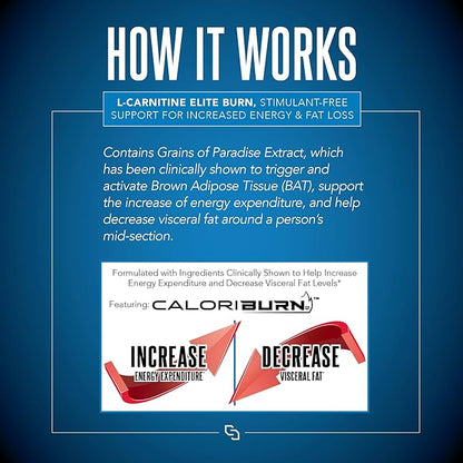 Siren Labs L-Carnitine Elite Burn Liquid Keto Fat Burner and Metabolism Activator - Fat Loss Support Keto Friendly Weight Loss Increase Energy-Stimulant Free - Lemon Lime 3000mg (32 Servings)