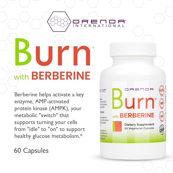 Orenda Burn - Advanced Wellness Support Supplement with Berberine HCI, Green Coffee Extract & African Mango - Promotes Healthy Weight Management, Cardiovascular Health & Energy Levels - 60 Capsules