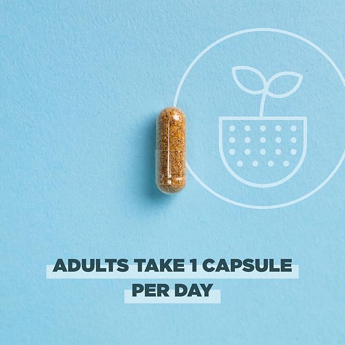 Ancient Nutrition Regenerative Organic Certified Probiotics, Daily Probiotics Once Daily, Healthy Digestion and Immune System Function Support, 25 Billion CFUs* Per Serving, 30 Count