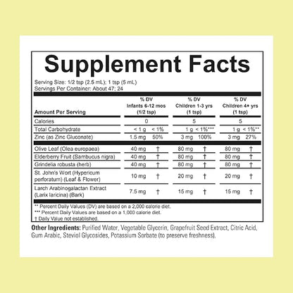 CHILDLIFE ESSENTIALS First Defense - Kids Immune Support, Immune Support for Kids, Toddlers 1-3, Babies 6 Months+, Vitamin Syrup with Elderberry, Zinc, Non GMO, Gluten Free - 4 Fl Oz (Pack of 3)