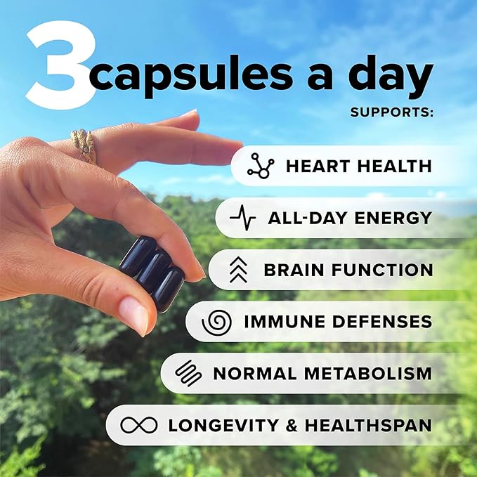 Complement 1 Month Supply Vegan Multivitamins for Women & Men (90 Capsules) Omega 3 DHA+EPA, Vitamin B12, Vitamin D3 K2, Zinc, Selenium, Magnesium, Iodine Supplement- Made in USA, 30 Servings