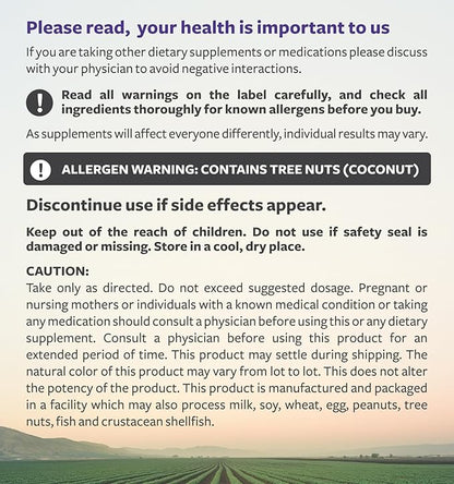 Elderberry Gummies for Adults with Vitamin C & Zinc (1 Months Supply) 60 Delicious Raspberry Flavor Gummy - Immune Support Supplement for Adults - Vegetarian Sambucus Elderberry Gummies (No Pills)