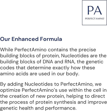 BodyHealth PerfectAmino Tablets, (3-Pack) Essential Amino Acid with BCAAs + Lysine, Phenylalanine, Threonine, Methionine, Tryptophan, Supplement for Muscle Mass Production, Recovery & Strength