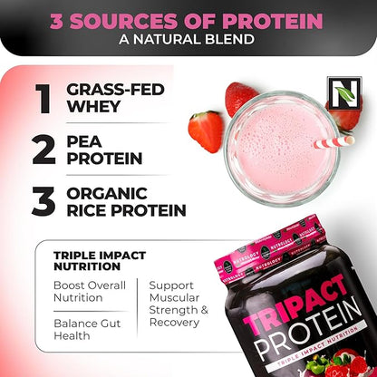 Nutrology TRIPACT Protein Powder, Superberry 7-in-1 Meal Replacement Shake with Grass Fed Whey Protein Powder, Greens, Probiotics & BCAAs, 40 Servings