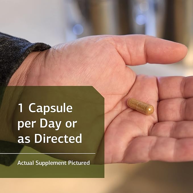 Standard Process Niacinamide B6 - Whole Food Energy, Metabolism and Nervous System Supplements with Soy Protein, Vitamin B6, Ascorbic Acid, Calcium Lactate, and Niacinamide - 90 Capsules