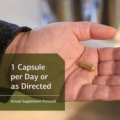 Standard Process Niacinamide B6 - Whole Food Energy, Metabolism and Nervous System Supplements with Soy Protein, Vitamin B6, Ascorbic Acid, Calcium Lactate, and Niacinamide - 90 Capsules