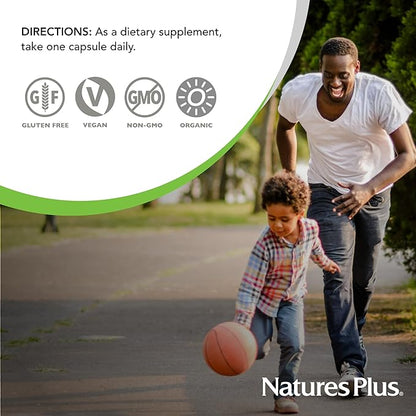 Natures Plus Source of Life Garden Vitamin K2-60 Vegan Capsules, Pack of 2 - Bone Support - Certified Organic, Non-GMO, Gluten Free - 120 Total Servings