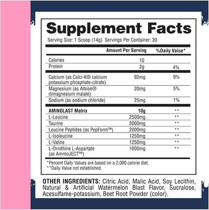Gaspari Nutrition Aminolast, Recovery and Endurance BCAA Superfuel, 2:1:1 Amino Acid Ratio, Fueled with Electrolytes (30 Servings, Watermelon Blast)