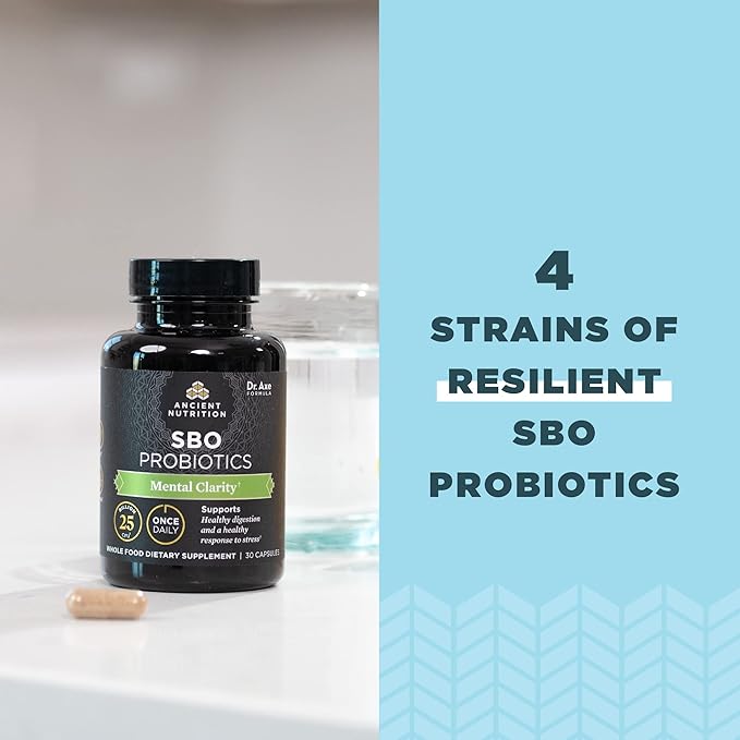 Probiotics for Mental Clarity by Ancient Nutrition, Once Daily Probiotics 30Ct, Helps Promote Mental Clarity and Concentration, Supports Healthy Energy and More Restful Sleep, 25 Billion CFUs*