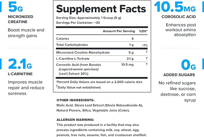LEGION Recharge Post Workout Supplement - All Natural Muscle Builder & Recovery Drink with Micronized Creatine Monohydrate. Naturally Sweetened & Flavored, Safe & Healthy (Watermelon, 30 Serve)