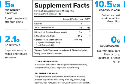 LEGION Recharge Post Workout Supplement - All Natural Muscle Builder & Recovery Drink with Micronized Creatine Monohydrate. Naturally Sweetened & Flavored, Safe & Healthy (Watermelon, 30 Serve)