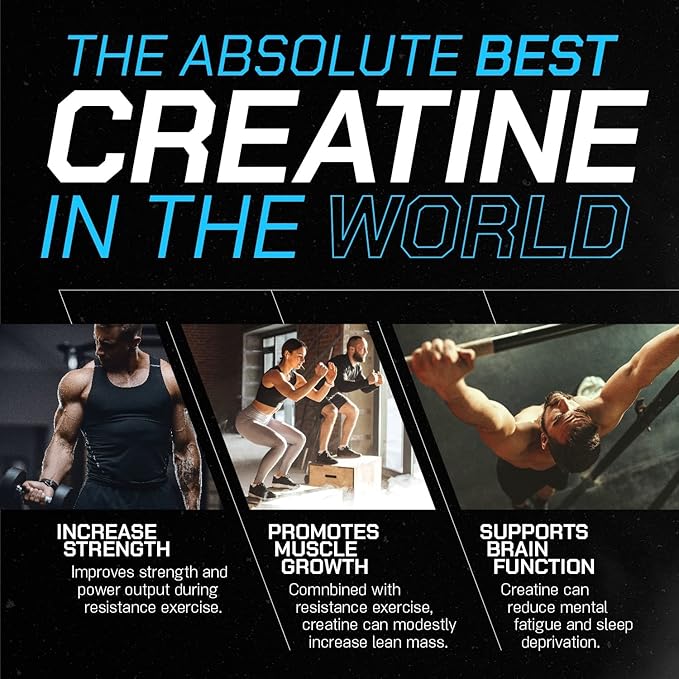 Muscle Feast Creapure Creatine Monohydrate Powder, Vegan Keto Friendly Gluten-Free Easy to Mix, Mass Gainer, Muscle Recovery Supplement and Best Creatine for Muscle Growth, Unflavored, 500g