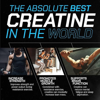 Muscle Feast Creapure Creatine Monohydrate Powder, Vegan Keto Friendly Gluten-Free Easy to Mix, Mass Gainer, Muscle Recovery Supplement and Best Creatine for Muscle Growth, Unflavored, 500g