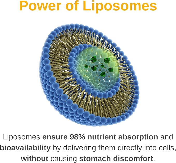 Liposomal Men's Liquid Multivitamin Drops | Non-GMO | Sugar Free | Gluten Free | 30 Day Supply | Supports Immune System, Muscle Health, Cellular Energy Production