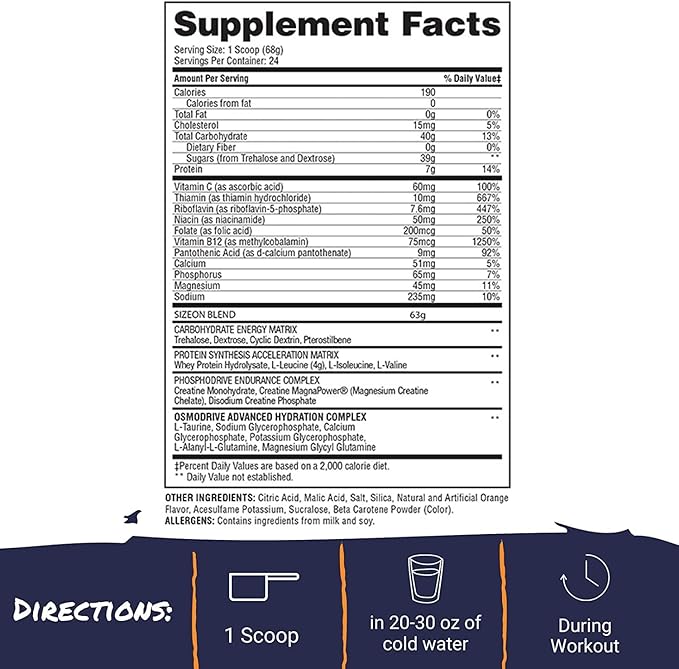 Gaspari Nutrition SizeOn, The Ultimate Hybrid Intra-Workout Amino Acid & Creatine Formula, Increased Muscle Volume & Muscle Recovery (3.59 Pound, Orange Cooler)