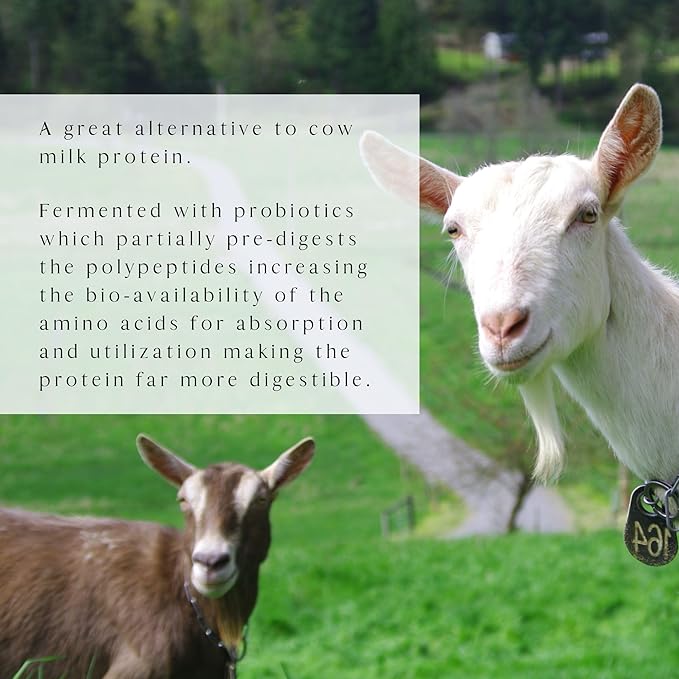 MT. CAPRA SINCE 1928 Caprotein | Casein Protein Concentrate, Fermented Goat Milk Protein from Grass-Fed Pastured Goats, Extremely Easy to Digest - 1 Pound