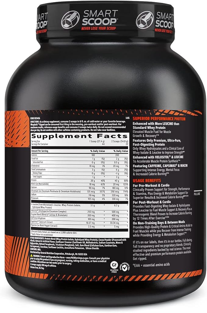 GNC AMP Wheybolic Ripped Whey Protein Powder Isolate with BCAA | Targeted Muscle Building and Workout Support Formula | Gluten Free | Chocolate Fudge | 22 Servings
