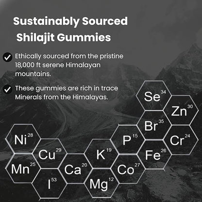 Pure Himalayan Shilajit Resin Potency Gummies Supplement for Men & Women | 1000mg Sugar Free 85+ Trace Minerals | Immumity, Energy, Vitality & Brain | Natural Raspberry Flavor (60 Count)